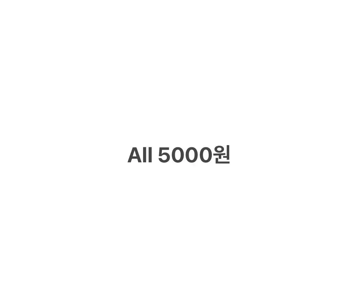 All 5000₩ 빈티지 의류 모리 페어리 하구미 y2k 데일리